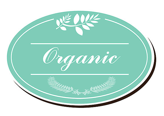 알파벳 영어 선 줄 컬러 스티커 잎 일러스트 자연 사람없음 꼬리표 라벨 환경 친환경 유기농 민트색 국내일러스트 AI파일 식물 문자 웰빙 프레임 생태계 파일형식 벡터