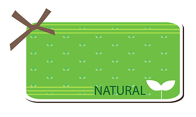 식물 문양 알파벳 영어 줄 스티커 무늬 일러스트 자연 사람없음 꼬리표 라벨 새싹 줄무늬 끈 심볼 매듭 내추럴 내츄럴 북마크 국내일러스트 AI파일 문자 프레임 생태계 파일형식 벡터