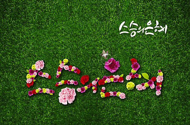 PSD 식물 동물 편집이미지 문자 기념일 꽃 나비 곤충 잎 이벤트 잔디 초원 한글 사람없음 풀 5월 스승의날 카네이션 5월행사 스승 스승의은혜 은혜 이미지편집 날짜 파일형식