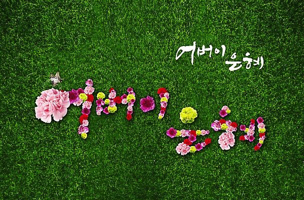 PSD 식물 동물 편집이미지 문자 기념일 꽃 나비 곤충 잎 이벤트 잔디 초원 한글 사람없음 부모 풀 어버이날 5월 카네이션 5월행사 은혜 이미지편집 가족 날짜 파일형식