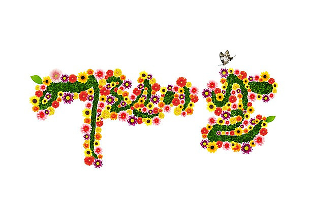 PSD 식물 동물 편집이미지 문자 기념일 꽃 나비 곤충 잎 이벤트 잔디 한글 사람없음 공휴일 컬러풀 어린이날 5월 5월행사 이미지편집 컬러 날짜 파일형식