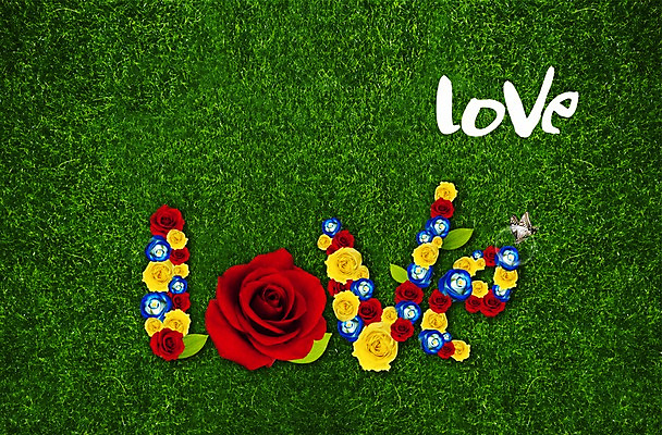 PSD 식물 동물 편집이미지 문자 영어 꽃 나비 곤충 잎 사랑 잔디 초원 사람없음 빨간색 파란색 장미 노란색 풀 이미지편집 감정 컬러 파일형식