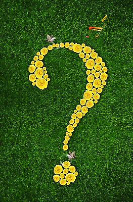 PSD 식물 동물 편집이미지 문자 기호 꽃 나비 곤충 음표 잔디 초원 사람없음 장미 노란색 물음표 풀 이미지편집 음악 컬러 파일형식