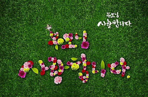 PSD 식물 동물 편집이미지 문자 기념일 꽃 나비 곤충 잎 사랑 이벤트 잔디 초원 한글 사람없음 부모 풀 어버이날 5월 카네이션 5월행사 이미지편집 감정 가족 날짜 파일형식