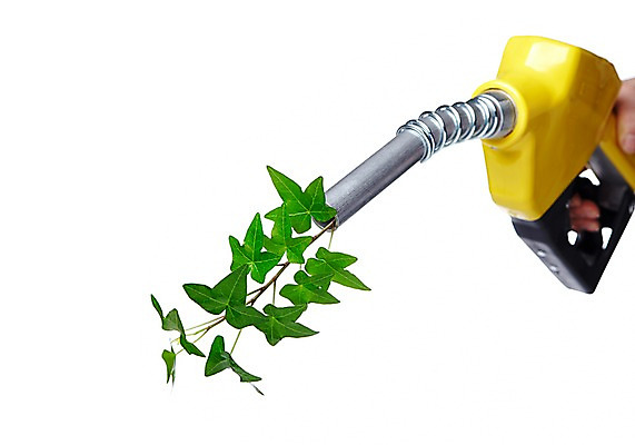 포토 JPG 스튜디오촬영 식물 손 실내 한명 들기 누끼 사람 아웃포커스 신체부위 초록색 자연보호 환경 그린캠페인 에너지 환경오염 오염 보호 사회이슈 환경보전 주유기 주유 국내포토 1 캠페인 컬러 컨셉 모션 자연 촬영기법 내부 기계 파일형식