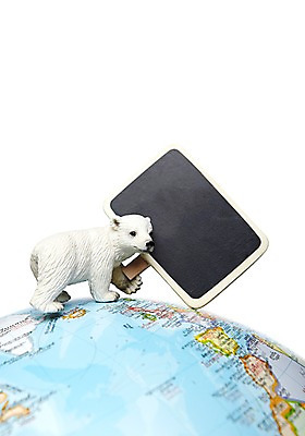 포토 JPG 스튜디오촬영 동물 한마리 지구 곰 광고판 실내 누끼 사람없음 지구본 모형 자연보호 환경 그린캠페인 팻말 미니어처 환경오염 오염 보호 사회이슈 알림 환경보전 북극곰 백곰 지구온난화 동물모형 국내포토 1 캠페인 컨셉 포유류 자연 프레임 알림판 내부 판 기후변화 파일형식