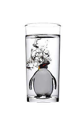 포토 JPG 스튜디오촬영 모양 동물 한마리 잔 한잔 실내 누끼 사람없음 컵 물 모형 자연보호 환경 그린캠페인 미니어처 흐름 표현 액체 환경오염 오염 보호 사회이슈 환경보전 펭귄 번짐 동물모형 국내포토 자연요소 1 식기 캠페인 컨셉 자연 조류 내부 파일형식 효과