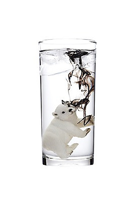 포토 JPG 스튜디오촬영 모양 동물 한마리 곰 잔 한잔 실내 누끼 사람없음 컵 물 모형 자연보호 환경 그린캠페인 미니어처 흐름 표현 액체 환경오염 오염 보호 사회이슈 환경보전 북극곰 백곰 번짐 동물모형 국내포토 자연요소 1 식기 캠페인 컨셉 포유류 자연 내부 파일형식 효과