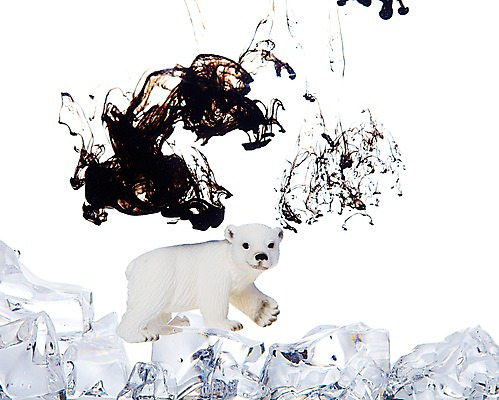 포토 JPG 스튜디오촬영 모양 동물 한마리 곰 실내 누끼 사람없음 모형 자연보호 환경 그린캠페인 얼음 미니어처 흐름 표현 액체 환경오염 오염 보호 사회이슈 환경보전 북극곰 백곰 번짐 지구온난화 동물모형 국내포토 자연요소 1 캠페인 컨셉 포유류 자연 내부 기후변화 파일형식 효과