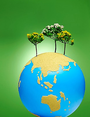 포토 JPG 스튜디오촬영 나무 식물 지구 백그라운드 실내 사람없음 지구본 모형 자연보호 환경 그린캠페인 미니어처 환경오염 오염 보호 사회이슈 환경보전 세그루 국내포토 캠페인 컨셉 자연 3 내부 파일형식