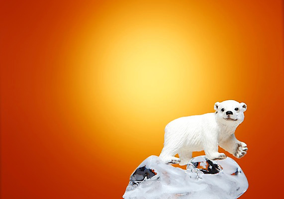 포토 JPG 스튜디오촬영 동물 한마리 백그라운드 곰 실내 사람없음 자연보호 환경 그린캠페인 얼음 미니어처 환경오염 오염 보호 사회이슈 환경보전 북극곰 백곰 지구온난화 동물모형 국내포토 자연요소 1 캠페인 컨셉 포유류 자연 내부 모형 기후변화 파일형식