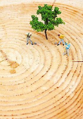 포토 JPG 스튜디오촬영 나무 식물 백그라운드 실내 근접촬영 사람없음 모형 자연보호 환경 그린캠페인 미니어처 피규어 에너지 도구 공구 판넬 환경오염 오염 보호 삽 사회이슈 환경보전 나이테 나무심기 나무모형 국내포토 캠페인 뷰포인트 컨셉 자연 내부 심기 파일형식