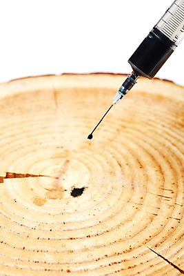 포토 JPG 스튜디오촬영 나무 식물 백그라운드 의료기기 실내 주사기 근접촬영 사람없음 자연보호 환경 그린캠페인 의료용품 판넬 바늘 환경오염 오염 보호 사회이슈 환경보전 나무모형 국내포토 캠페인 뷰포인트 컨셉 의학 자연 내부 모형 도구 파일형식