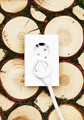 포토 JPG 스튜디오촬영 나무 식물 상징 백그라운드 실내 사람없음 자연보호 환경 그린캠페인 에너지 판넬 환경오염 오염 콘센트 플러그 코드 보호 전기에너지 사회이슈 심볼 환경보전 나이테 국내포토 캠페인 컨셉 자연 내부 파일형식