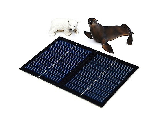 포토 JPG 스튜디오촬영 동물 두마리 곰 실내 누끼 사람없음 모형 자연보호 환경 그린캠페인 미니어처 환경오염 오염 보호 사회이슈 환경보전 첨단과학 북극곰 태양에너지 백곰 집열판 바다사자 동물모형 기술발전 기술진보 국내포토 캠페인 과학 컨셉 2 포유류 자연 기술 내부 바다동물 발전 그린에너지 파일형식