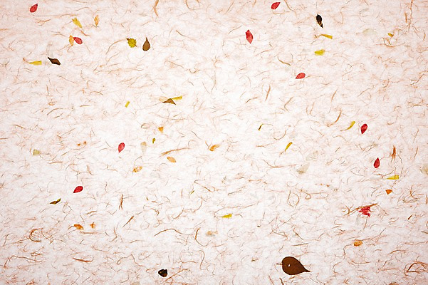 포토 JPG 스튜디오촬영 식물 한국문화 한국전통 종이 분홍색 컬러 백그라운드 컨셉 잎 무늬 패턴 나뭇잎 전통소품 한국 실내 사람없음 한지 오브젝트 국내포토 동양문화 전통 아시아 내부 파일형식