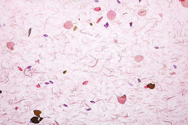 포토 JPG 스튜디오촬영 식물 한국문화 한국전통 종이 분홍색 컬러 백그라운드 컨셉 잎 무늬 패턴 나뭇잎 전통소품 한국 실내 사람없음 한지 오브젝트 국내포토 동양문화 전통 아시아 내부 파일형식