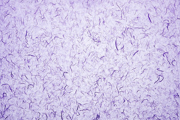 포토 JPG 스튜디오촬영 한국문화 한국전통 종이 컬러 백그라운드 컨셉 무늬 패턴 전통소품 한국 실내 사람없음 보라색 한지 오브젝트 연보라색 국내포토 동양문화 전통 아시아 내부 파일형식