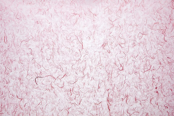 포토 JPG 스튜디오촬영 한국문화 한국전통 종이 분홍색 컬러 백그라운드 컨셉 무늬 패턴 전통소품 한국 실내 사람없음 한지 오브젝트 국내포토 동양문화 전통 아시아 내부 파일형식