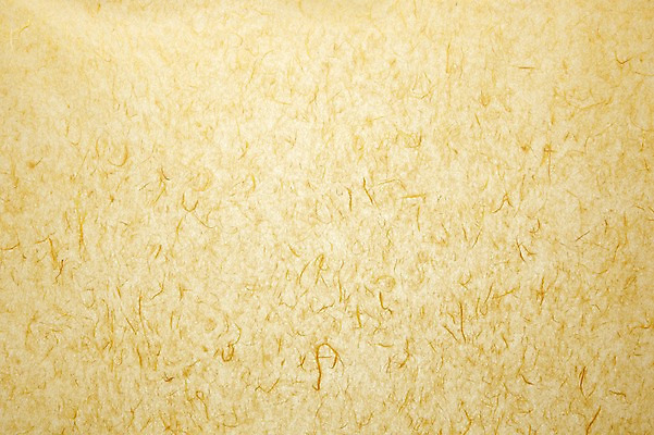 포토 JPG 스튜디오촬영 한국문화 한국전통 종이 컬러 백그라운드 컨셉 무늬 패턴 전통소품 한국 실내 사람없음 갈색 노란색 한지 오브젝트 베이지색 국내포토 동양문화 전통 아시아 내부 파일형식