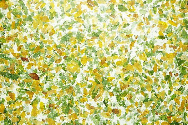 포토 JPG 스튜디오촬영 한국문화 한국전통 종이 컬러 백그라운드 컨셉 무늬 패턴 전통소품 한국 실내 사람없음 초록색 흰색 한지 오브젝트 국내포토 동양문화 전통 아시아 내부 파일형식