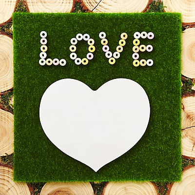 포토 JPG 스튜디오촬영 나무 식물 배너 종이 백그라운드 컨셉 프레임 알림판 실내 사랑 틀 잔디 사람없음 하트 메모지 알림 나이테 하트프레임 국내포토 모양 감정 내부 사무용품 파일형식