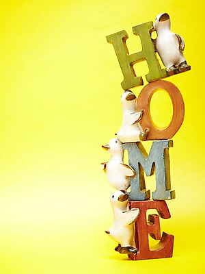 포토 JPG 스튜디오촬영 문자 배너 알파벳 영어 종이 백그라운드 컨셉 주택 프레임 알림판 실내 틀 사람없음 목재 단어 장난감 블록 알림 오리모형 오리장난감 국내포토 나무 재료 내부 건물 모형 파일형식