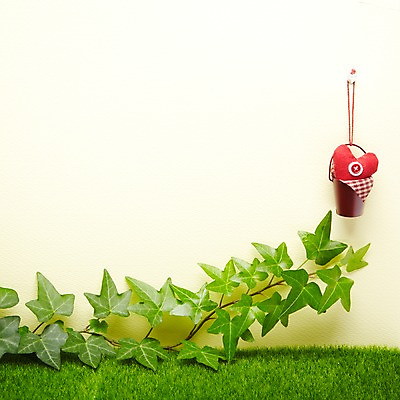 포토 JPG 스튜디오촬영 식물 배너 종이 백그라운드 컨셉 잎 프레임 알림판 실내 틀 잔디 사람없음 하트 끈 양동이 알림 하트모형 국내포토 모양 내부 모형 파일형식