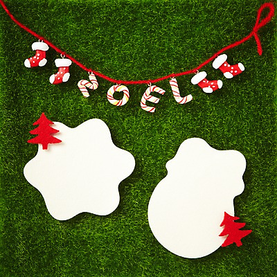 포토 JPG 스튜디오촬영 배너 종이 줄 백그라운드 컨셉 크리스마스장식 크리스마스 양말 프레임 알림판 실내 틀 잔디 사람없음 장식 크리스마스트리 흰색 끈 알림 국내포토 식물 기념일 컬러 내부 파일형식