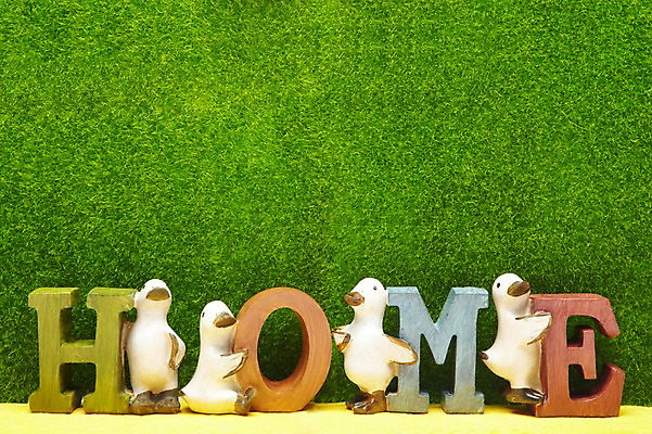 포토 JPG 스튜디오촬영 식물 문자 배너 알파벳 영어 백그라운드 컨셉 주택 프레임 알림판 실내 틀 잔디 사람없음 목재 단어 장난감 블록 알림 오리모형 오리장난감 국내포토 나무 재료 내부 건물 모형 파일형식