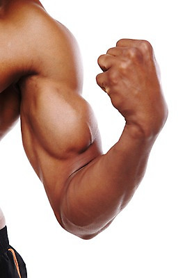 포토 JPG 스튜디오촬영 서양인 외국인 해외기획촬영 라이프스타일 2012년태국 남자 맨라이프 포즈 흑인 신체 다이어트 근육 실내 한명 누끼 사람 20대 성인 신체부위 운동 헬스 주먹 목표 근육질 열정 알통 팔 팔근육 남자만 남자한명만 성인남자만 청년만 청년남자만 청년남자한명만 성인한명만 성인남자한명만 성인만 국내포토 1 감정 컨셉 모션 건강 인종 청년 내부 생활 몸매 파일형식