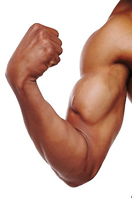 포토 JPG 스튜디오촬영 서양인 외국인 해외기획촬영 라이프스타일 2012년태국 남자 맨라이프 포즈 흑인 신체 다이어트 근육 실내 한명 누끼 사람 20대 성인 신체부위 운동 헬스 주먹 목표 근육질 열정 알통 팔 팔근육 남자만 남자한명만 성인남자만 청년만 청년남자만 청년남자한명만 성인한명만 성인남자한명만 성인만 국내포토 1 감정 컨셉 모션 건강 인종 청년 내부 생활 몸매 파일형식