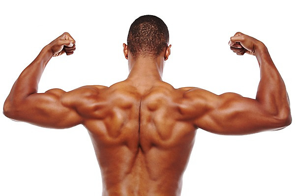 포토 JPG 스튜디오촬영 서양인 외국인 해외기획촬영 라이프스타일 2012년태국 남자 맨라이프 포즈 흑인 신체 다이어트 근육 상의탈의 실내 한명 누끼 사람 상반신 20대 성인 뒷모습 신체부위 운동 헬스 등 목표 근육질 열정 알통 팔근육 남자만 남자한명만 성인남자만 청년만 청년남자만 청년남자한명만 성인한명만 성인남자한명만 성인만 국내포토 1 감정 뷰포인트 컨셉 탈의 건강 인종 청년 내부 생활 몸매 파일형식