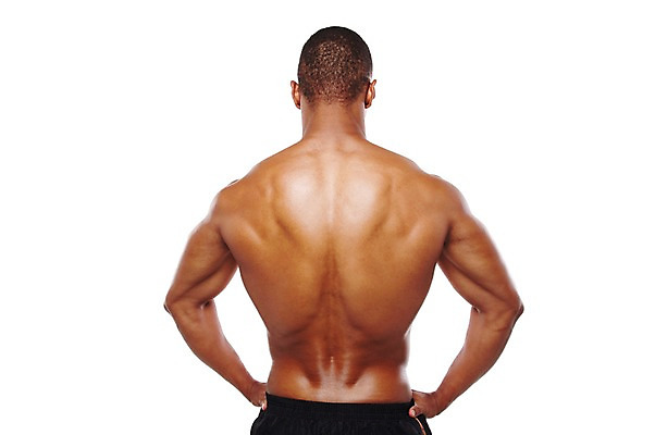 포토 JPG 스튜디오촬영 서양인 외국인 해외기획촬영 라이프스타일 2012년태국 남자 맨라이프 흑인 신체 다이어트 근육 상의탈의 실내 한명 누끼 사람 상반신 20대 성인 뒷모습 신체부위 운동 헬스 등 목표 근육질 열정 남자만 남자한명만 성인남자만 청년만 청년남자만 청년남자한명만 성인한명만 성인남자한명만 성인만 국내포토 1 감정 뷰포인트 컨셉 탈의 건강 인종 청년 내부 생활 몸매 파일형식