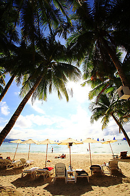 포토 JPG 주간 나무 식물 구름 해외풍경 해외 계절 아시아 음료 바다 섬 여행 탁자 하늘 휴가 열대 그림자 필리핀 사람 풍경 여러명 해변 야외 컵 물 여름 여름휴가 바캉스 반짝임 수건 모래사장 야자수 눕기 햇빛 태양 반사 동남아시아 파라솔 보트 선탠 해수욕장 휴양지 선베드 해수욕 보라카이 방카 호핑투어 선박 국내포토 자연요소 식기 나라 가구 다수 수상교통 배_교통 의자 모션 위생용품 장소 파일형식 여름_계절