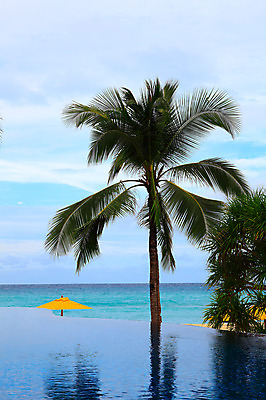 포토 JPG 주간 나무 식물 구름 해외풍경 해외 아시아 바다 여행 하늘 호텔 리조트 휴가 열대 야외수영장 수영장 그림자 필리핀 풍경 해변 사람없음 야외 물 야자수 풀장 동남아시아 파라솔 풀 휴양지 보라카이 국내포토 자연요소 나라 숙소 장소 파일형식