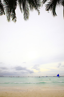 포토 JPG 주간 나무 식물 구름 해외풍경 해외 계절 아시아 물결 파도 바다 섬 여행 요트 하늘 휴가 열대 필리핀 풍경 해변 사람없음 야외 여름 여름휴가 바캉스 모래사장 야자수 동남아시아 보트 해수욕장 휴양지 해수욕 보라카이 방카 호핑투어 선박 국내포토 자연요소 나라 수상교통 배_교통 장소 파일형식 여름_계절