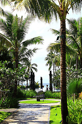 포토 JPG 주간 나무 식물 해외풍경 해외 건축물 아시아 바다 섬 여행 호텔 리조트 휴가 열대 수영장 필리핀 풍경 해변 야외 건물 장식 여름휴가 바캉스 야자수 풀장 동남아시아 기둥 풀 휴양지 보라카이 국내포토 자연요소 건축 나라 숙소 장소 파일형식 여름_계절