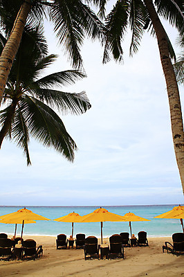 포토 JPG 주간 나무 식물 구름 해외풍경 해외 계절 아시아 바다 섬 여행 하늘 휴가 열대 필리핀 풍경 해변 사람없음 야외 여름 여름휴가 바캉스 모래사장 야자수 동남아시아 파라솔 해수욕장 휴양지 선베드 보라카이 국내포토 자연요소 나라 의자 장소 파일형식 여름_계절