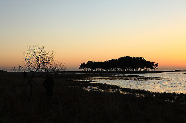 포토 JPG 주간 나무 식물 실루엣 교통수단 바다 섬 자연 하늘 한국 사람 풍경 야외 두명 강 일출 노을 침묵 고요 일몰 나뭇가지 풀 어선 분위기 강원도 삼척 소나무숲 솔섬 선박 국내포토 자연요소 아시아 교통 컨셉 수상교통 배_교통 촬영기법 소리 소나무 숲 생태계 부안 파일형식