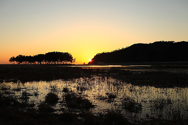 포토 JPG 주간 나무 식물 건축물 실루엣 교통수단 바다 섬 자연 하늘 산 주택 한국 물그림자 그림자 풍경 사람없음 야외 건물 강 태양 일출 노을 침묵 고요 일몰 풀 어선 분위기 강원도 삼척 소나무숲 솔섬 선박 국내포토 자연요소 건축 아시아 교통 컨셉 수상교통 배_교통 촬영기법 소리 소나무 숲 생태계 부안 파일형식