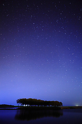 포토 JPG 나무 식물 실루엣 별 바다 섬 야경 자연 밤하늘 하늘 한국 물그림자 그림자 사람없음 야외 반짝임 강 여러개 침묵 고요 분위기 야간 강원도 삼척 소나무숲 솔섬 국내포토 자연요소 아시아 다수 컨셉 모션 촬영기법 소리 소나무 숲 생태계 부안 파일형식 풍경_경치