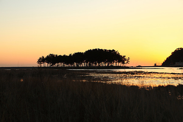 포토 JPG 주간 나무 식물 동물 실루엣 교통수단 바다 섬 여러마리 자연 갈매기 하늘 산 주택 한국 풍경 사람없음 야외 건물 강 일출 노을 침묵 고요 일몰 비행 풀 어선 분위기 강원도 삼척 소나무숲 솔섬 선박 국내포토 자연요소 건축물 아시아 다수 교통 컨셉 수상교통 배_교통 조류 촬영기법 소리 소나무 숲 생태계 부안 파일형식