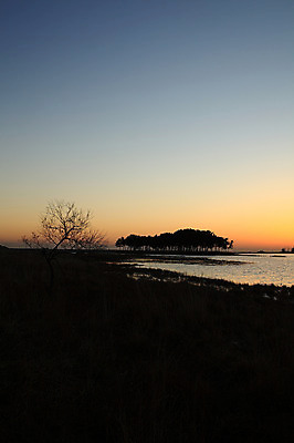 포토 JPG 주간 나무 식물 실루엣 교통수단 바다 섬 자연 하늘 한국 풍경 사람없음 야외 강 일출 노을 침묵 고요 일몰 풀 어선 분위기 강원도 삼척 소나무숲 솔섬 선박 국내포토 자연요소 아시아 교통 컨셉 수상교통 배_교통 촬영기법 소리 소나무 숲 생태계 부안 파일형식