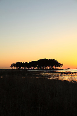 포토 JPG 주간 나무 식물 실루엣 교통수단 바다 섬 자연 하늘 한국 풍경 사람없음 야외 강 일출 노을 침묵 고요 일몰 풀 어선 분위기 강원도 삼척 소나무숲 솔섬 선박 국내포토 자연요소 아시아 교통 컨셉 수상교통 배_교통 촬영기법 소리 소나무 숲 생태계 부안 파일형식