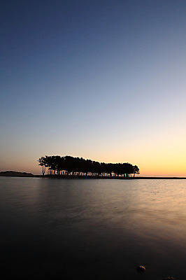 포토 JPG 주간 나무 식물 실루엣 바다 섬 자연 하늘 한국 풍경 사람없음 야외 강 일출 노을 침묵 고요 일몰 분위기 강원도 삼척 소나무숲 솔섬 국내포토 자연요소 아시아 컨셉 촬영기법 소리 소나무 숲 생태계 부안 파일형식