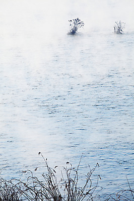 포토 JPG 주간 식물 계절 겨울 자연 한국 갈대 풍경 사람없음 야외 강 안개 풀 신비 강원도 춘천 소양5교 소양강 국내포토 자연요소 아시아 컨셉 날씨 다리_건축물 생태계 파일형식