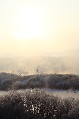 포토 JPG 주간 나무 식물 계절 설경 겨울 자연 한국 풍경 사람없음 야외 강 햇빛 노을 얼음 일몰 안개 돌_바위 조약돌 바위 눈 풀 신비 서리 강원도 상고대 춘천 살얼음 소양5교 소양강 수빙 국내포토 자연요소 아시아 컨셉 날씨 태양 다리_건축물 생태계 파일형식