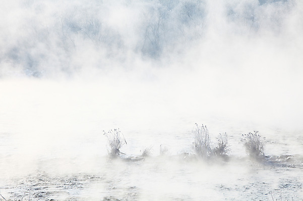 포토 JPG 주간 나무 식물 계절 겨울 자연 한국 갈대 풍경 사람없음 야외 강 얼음 안개 눈 풀 신비 서리 강원도 상고대 춘천 살얼음 소양5교 소양강 수빙 국내포토 자연요소 아시아 컨셉 날씨 다리_건축물 생태계 파일형식