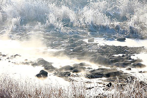 포토 JPG 주간 나무 식물 계절 설경 겨울 자연 한국 갈대 풍경 사람없음 야외 강 얼음 안개 돌_바위 조약돌 바위 눈 풀 신비 서리 강원도 상고대 춘천 살얼음 소양5교 소양강 수빙 국내포토 자연요소 아시아 컨셉 날씨 다리_건축물 생태계 파일형식